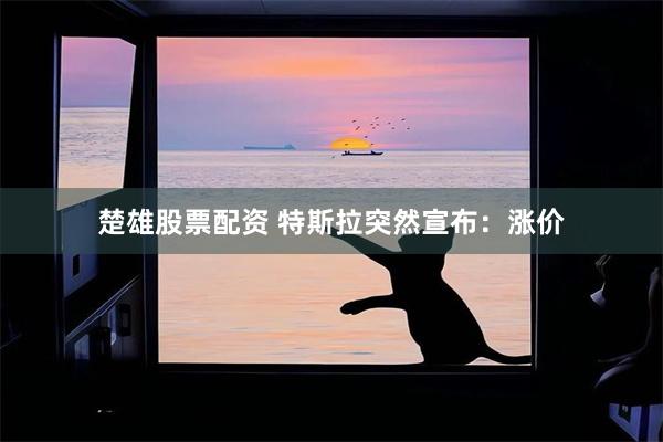 楚雄股票配资 特斯拉突然宣布：涨价