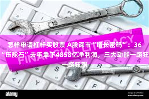 怎样申请杠杆买股票 A股深市“增长密码”：36家“压舱石”去年拿下4858亿净利润，三大动能一路狂飙