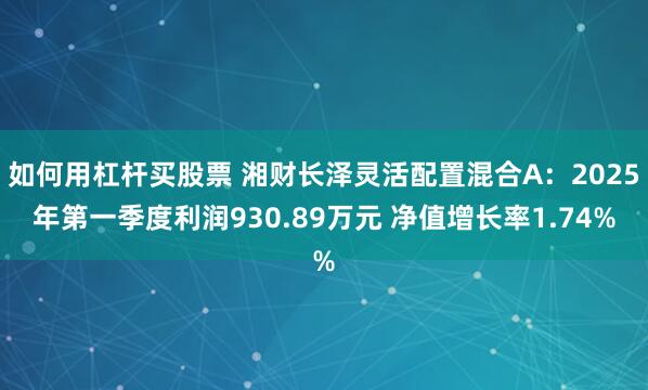 如何用杠杆买股票 湘财长泽灵活配置混合A：2025年第一季度利润930.89万元 净值增长率1.74%