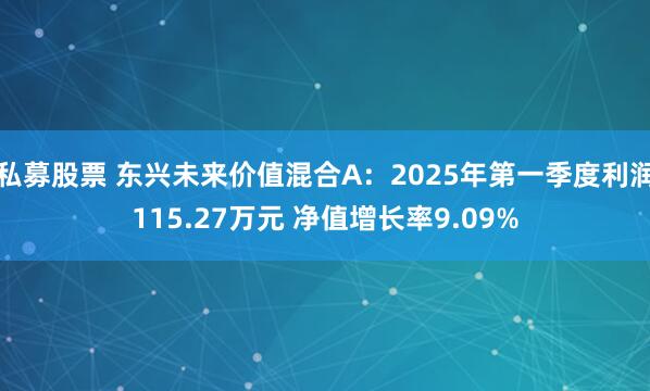 私募股票 东兴未来价值混合A：2025年第一季度利润115.27万元 净值增长率9.09%