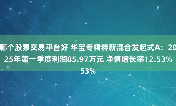 哪个股票交易平台好 华宝专精特新混合发起式A：2025年第一季度利润85.97万元 净值增长率12.53%