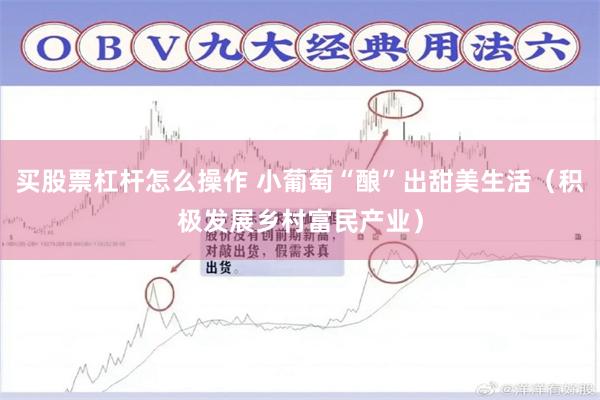 买股票杠杆怎么操作 小葡萄“酿”出甜美生活（积极发展乡村富民产业）