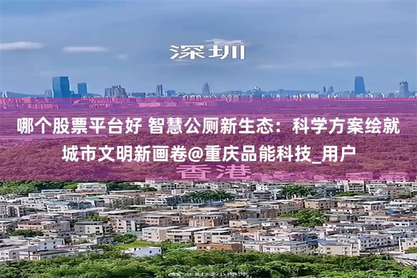 哪个股票平台好 智慧公厕新生态：科学方案绘就城市文明新画卷@重庆品能科技_用户