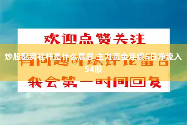 炒股配资杠杆是什么意思 主力资金连续5日净流入54股