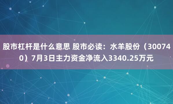 股市杠杆是什么意思 股市必读：水羊股份（300740）7月3日主力资金净流入3340.25万元